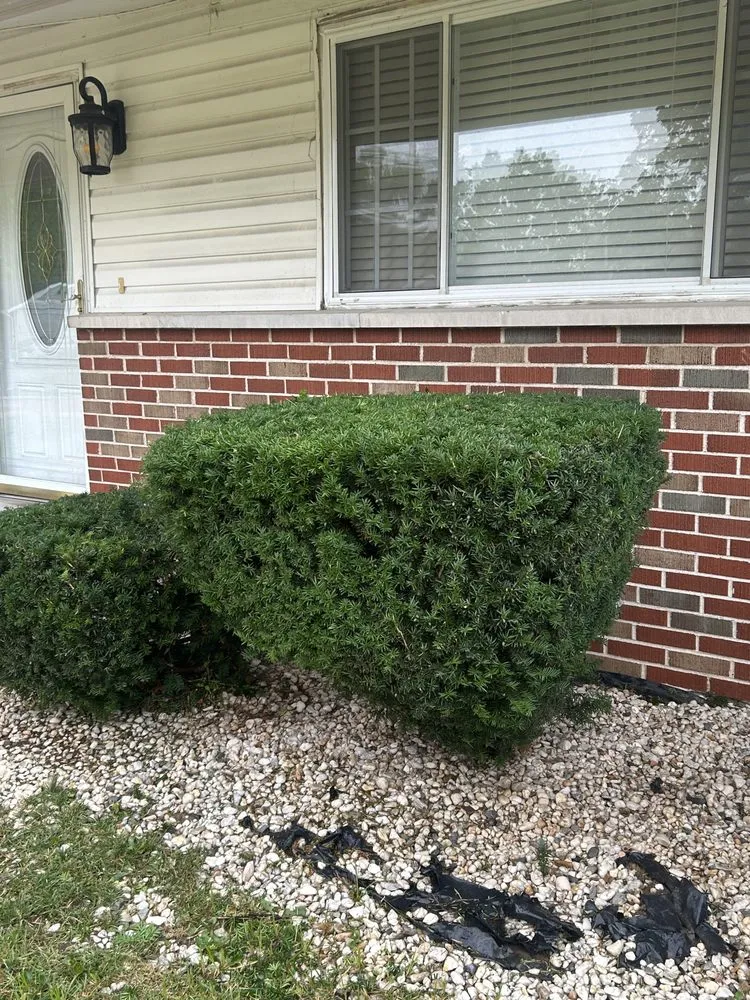 Affordable landscape design for year-round maintenance across St Louis, MO - Thornhill Lawncare