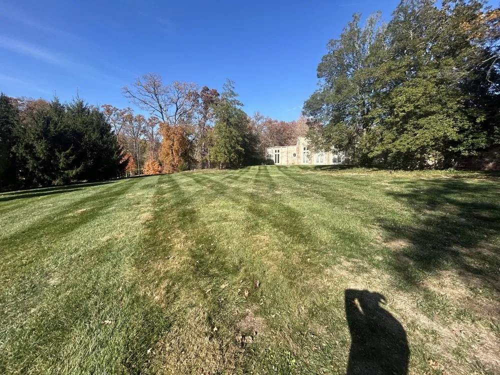 Professional lawn mowing service experts serving St Louis, MO - Thornhill Lawncare