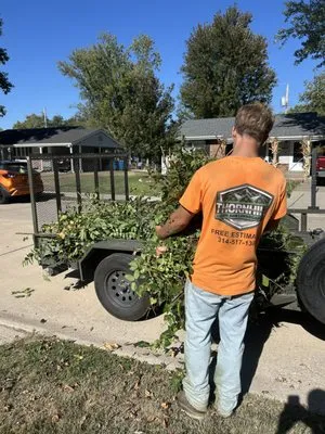 Thornhill Lawncare Logo