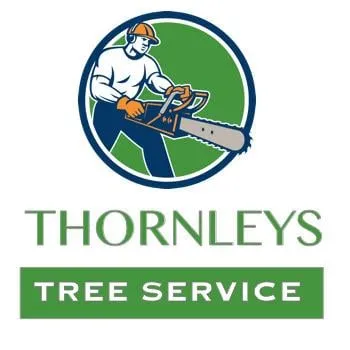 Trusted outdoor landscaping in Seffner, FL - Thornley's Affordable Home Service