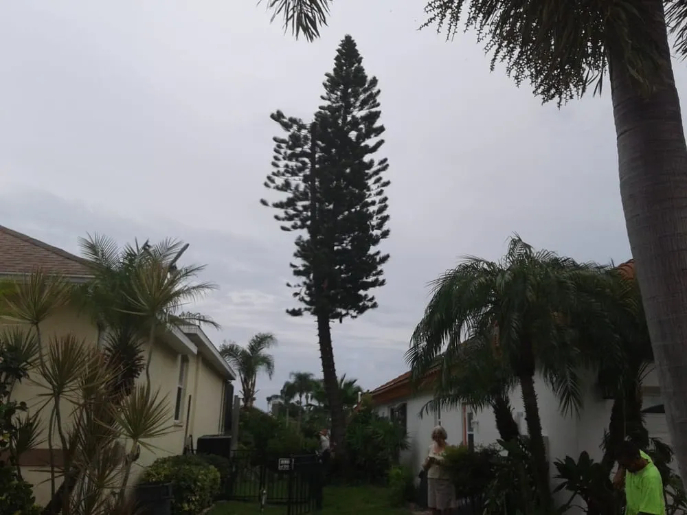 Custom landscape installation near you across Seffner, FL - Thornley's Affordable Home Service