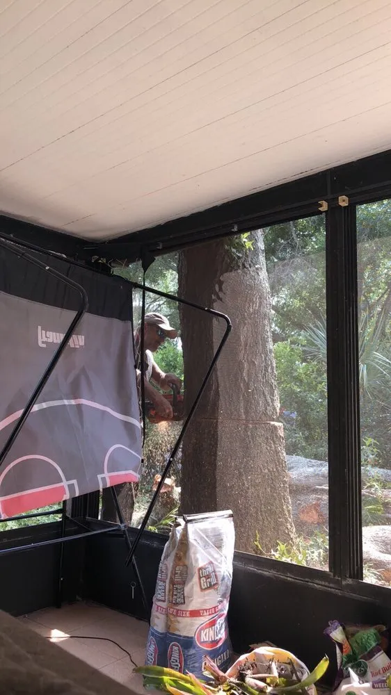 Local landscape design for homes in Seffner, FL by Thornley's Affordable Home Service