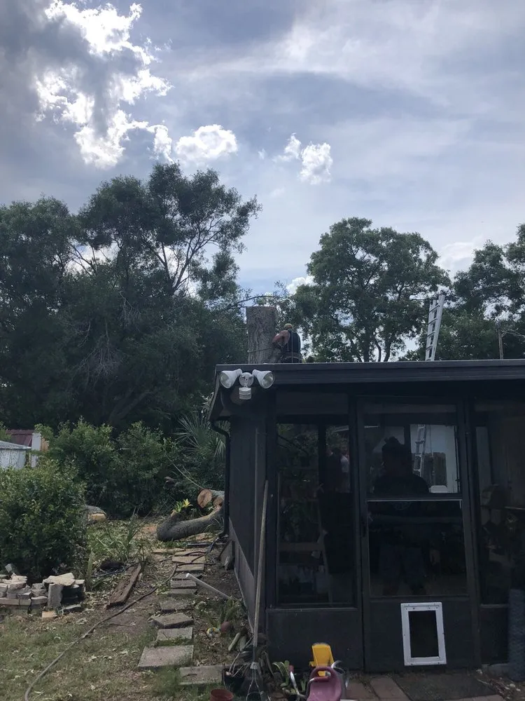 Expert yard cleanup service in Seffner, FL by Thornley's Affordable Home Service