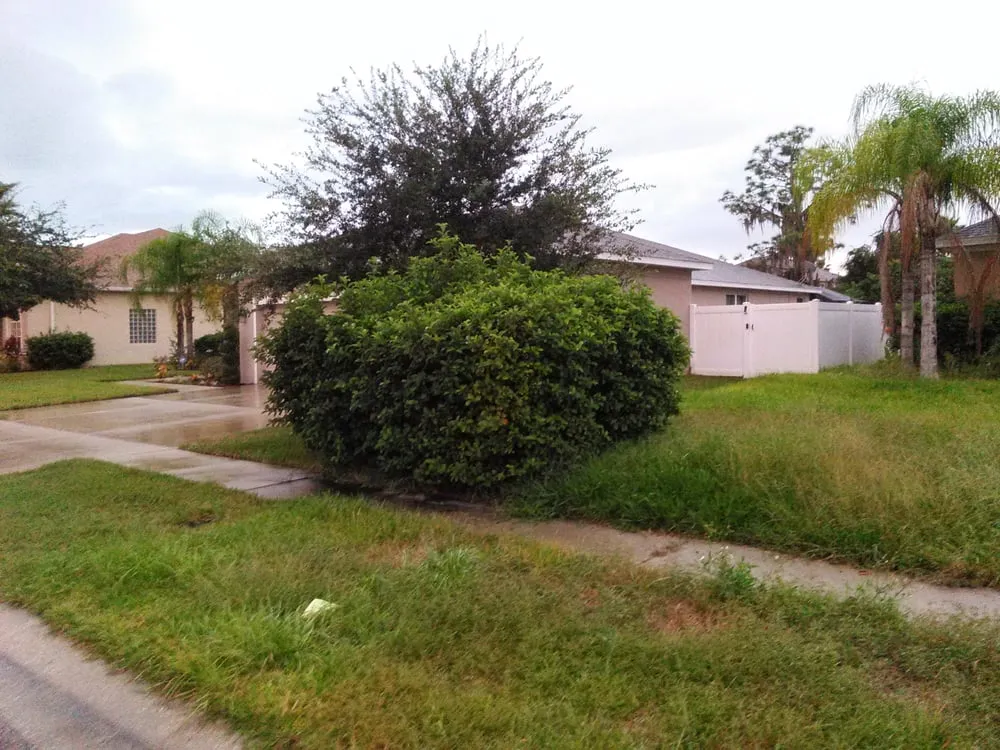 Affordable landscape installation for residential properties in Seffner, FL by Thornley's Affordable Home Service