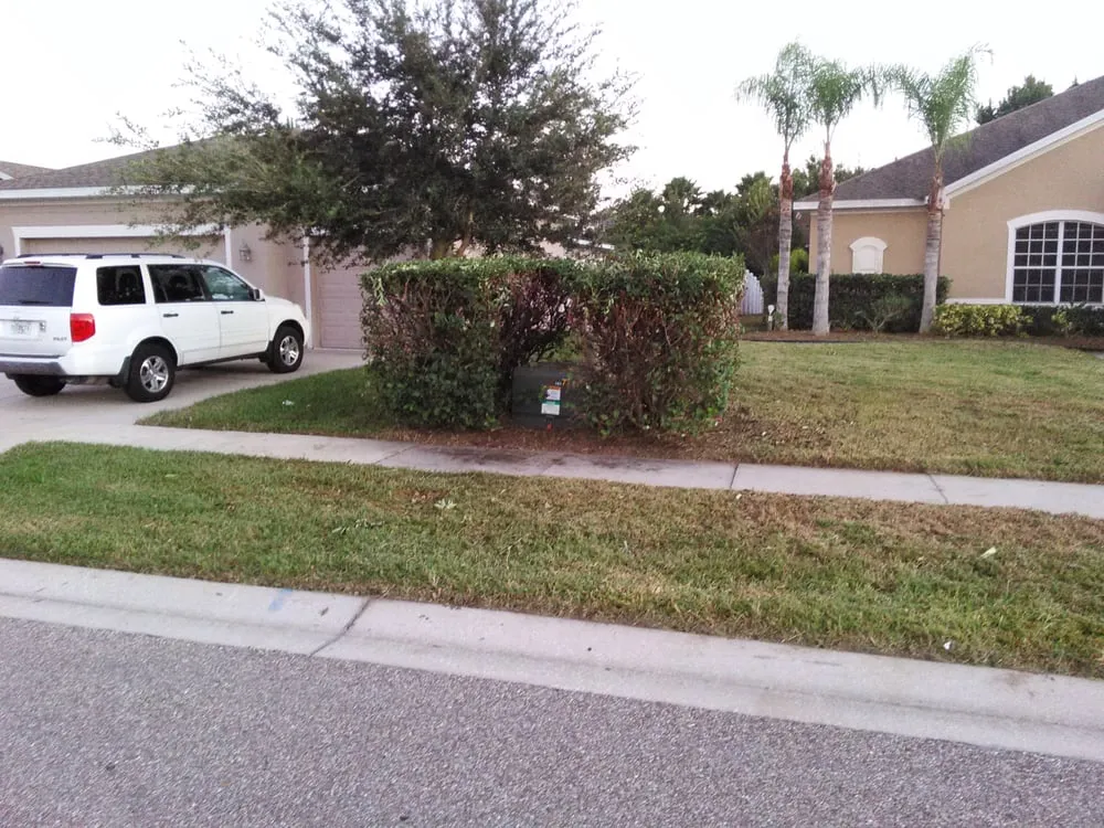 Local lawn mowing service with custom design across Seffner, FL - Thornley's Affordable Home Service