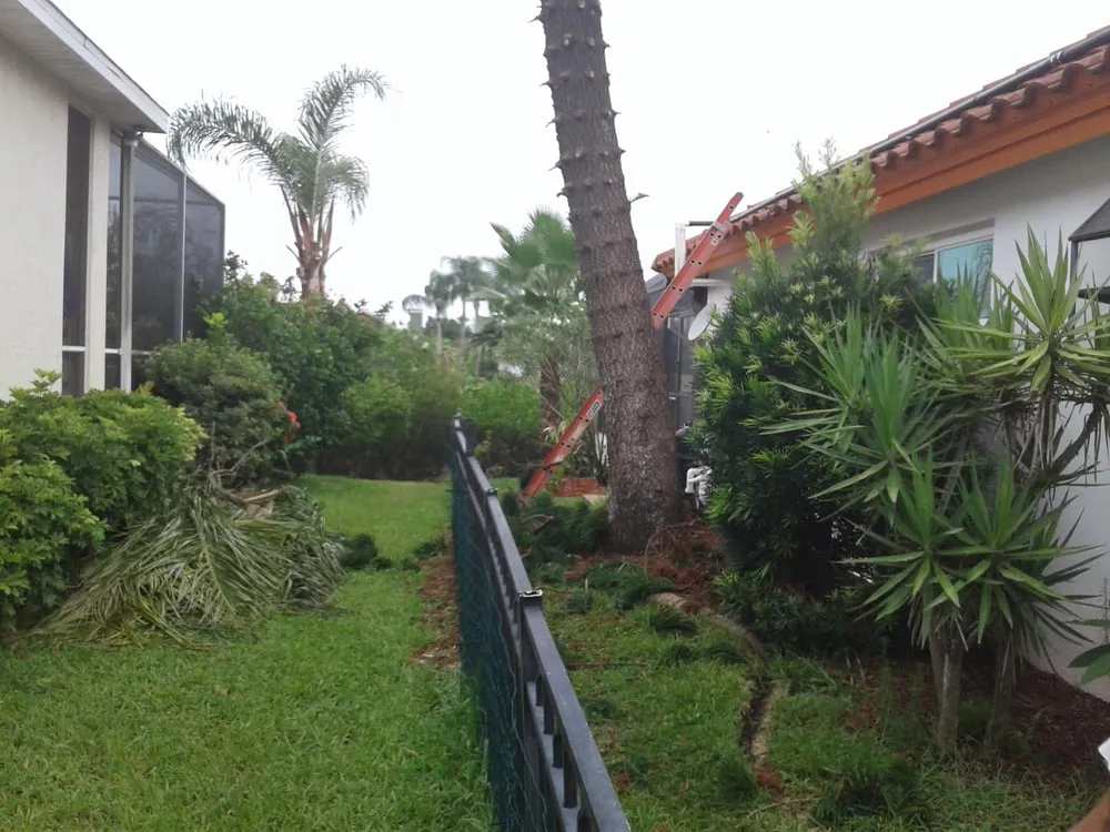 Trusted residential landscaping experts serving Seffner, FL - Thornley's Affordable Home Service