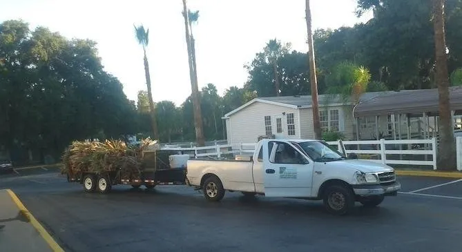 Local outdoor landscaping with custom design across Seffner, FL - Thornley's Affordable Home Service