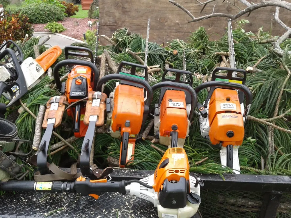 Trusted lawn mowing service near you in Seffner, FL by Thornley's Affordable Home Service