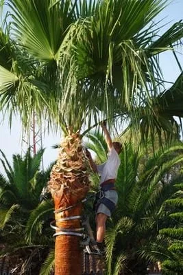 Thornley's Affordable Home Service Logo