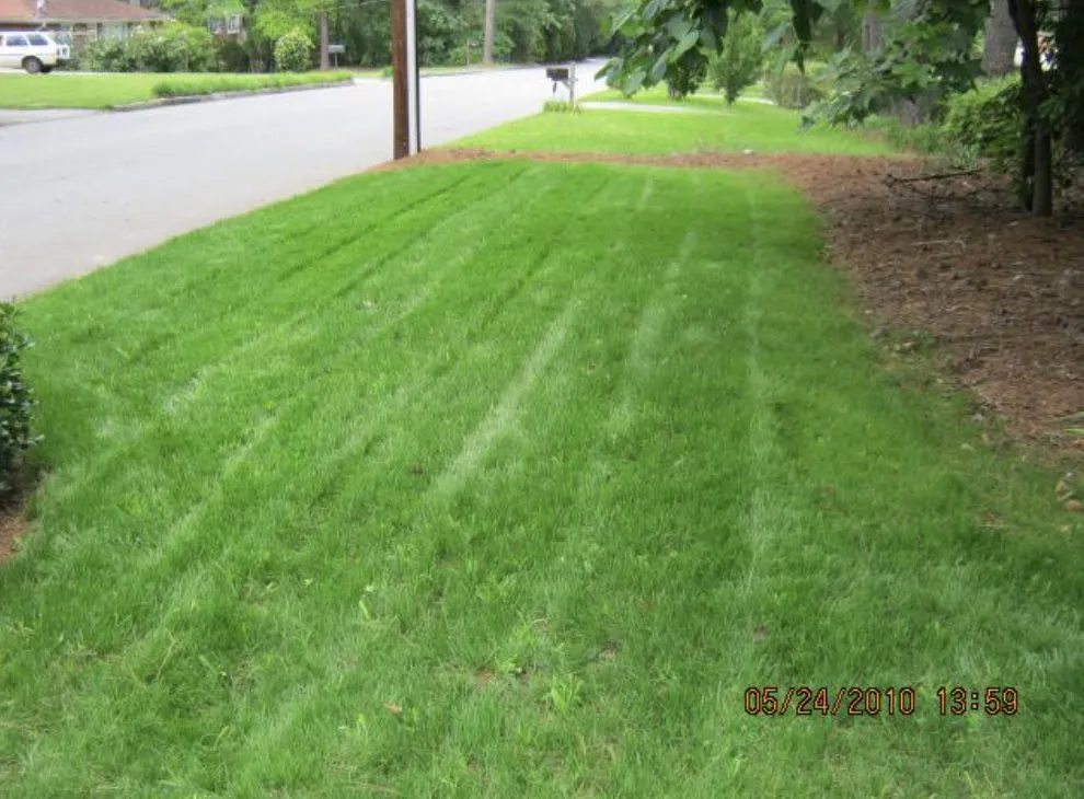 Trusted landscaping services for residential properties across Stone Mountain, GA - Thornton Advantage Lawn Care