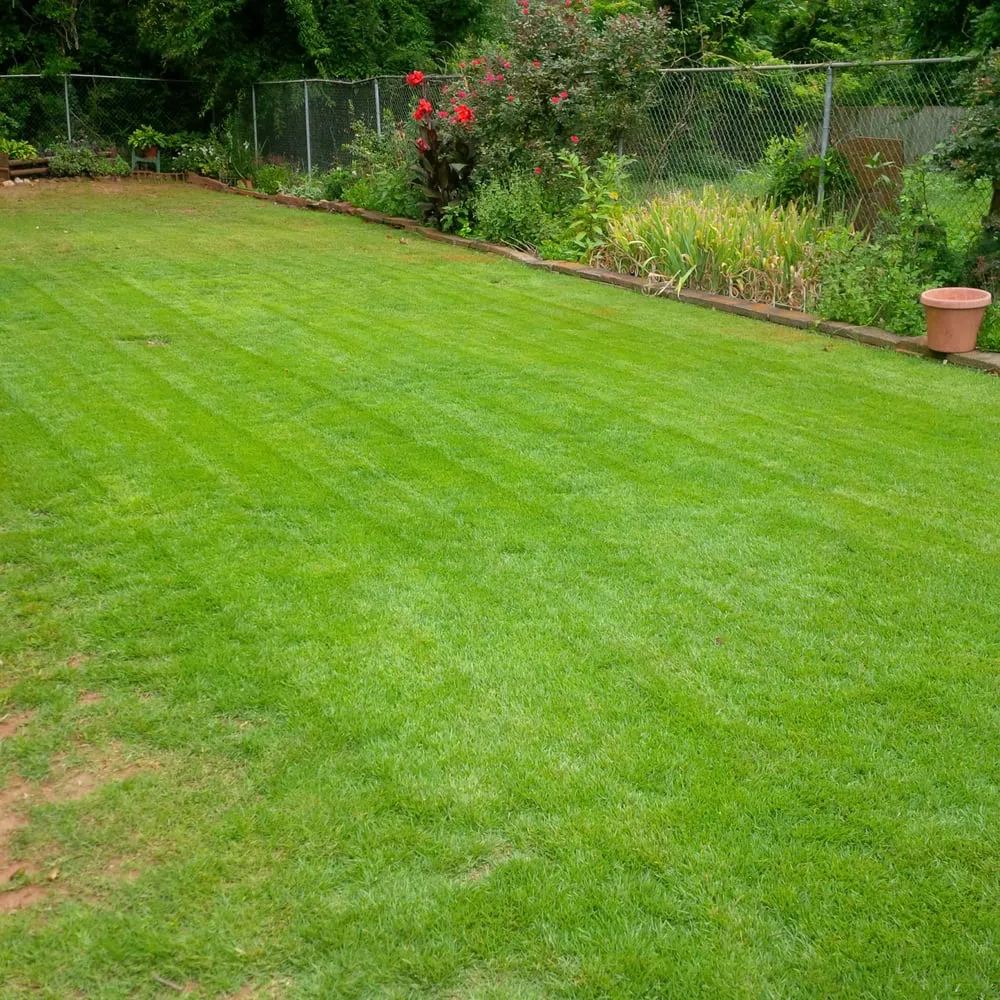 Expert landscape installation for year-round maintenance in Stone Mountain, GA by Thornton Advantage Lawn Care