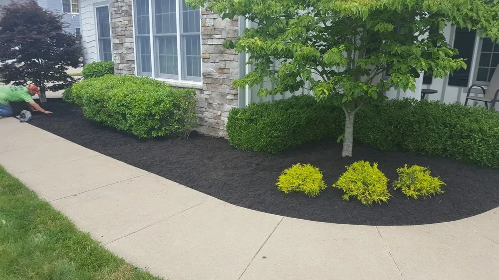 Reliable yard cleanup service in Bretz, WV by Thornton Services