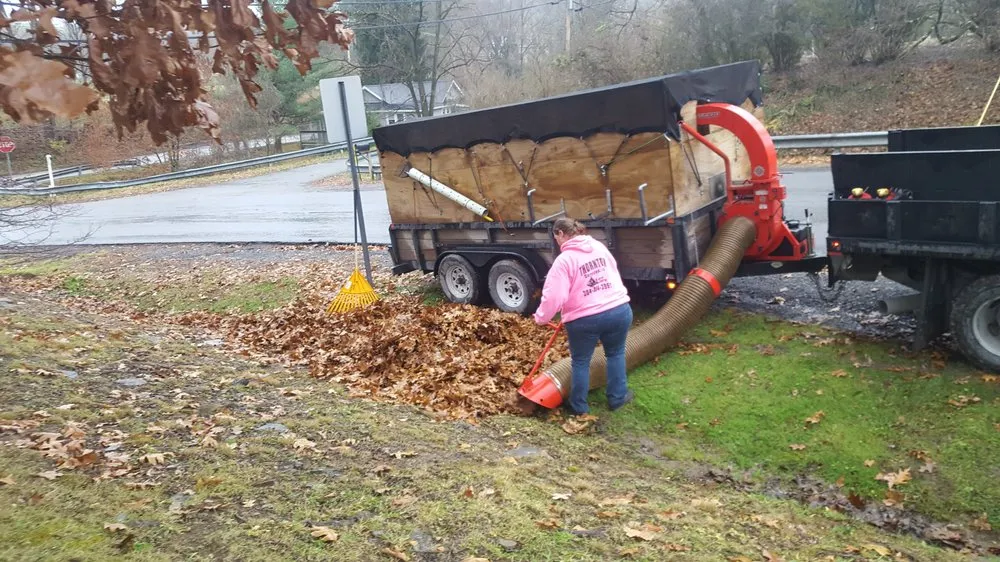 Expert lawn care service for homes in Bretz, WV by Thornton Services