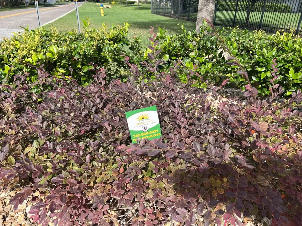 Professional landscape design in Hudson, FL - Thornton's Lawn and Pest Control