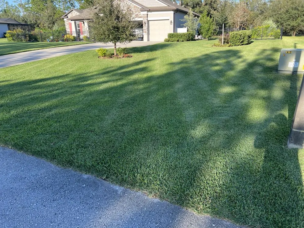 Trusted lawn care service with custom design in Hudson, FL by Thornton's Lawn and Pest Control