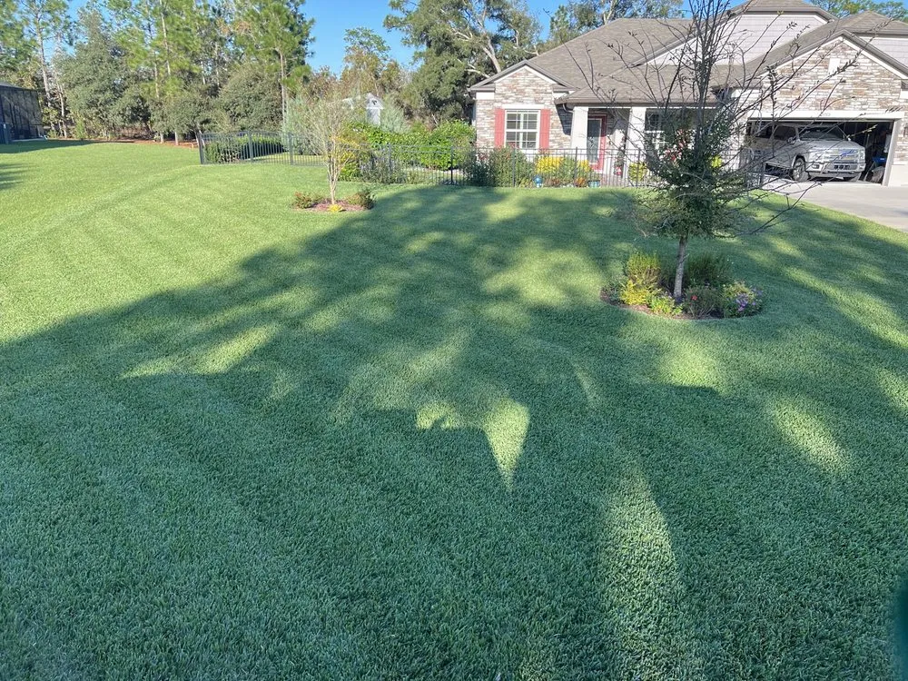 Professional yard maintenance in Hudson, FL by Thornton's Lawn and Pest Control