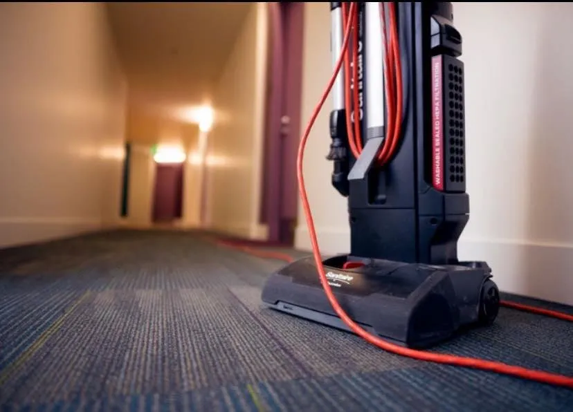 Top-rated yard cleanup service in Midlothian, IL by Thorough Solutions