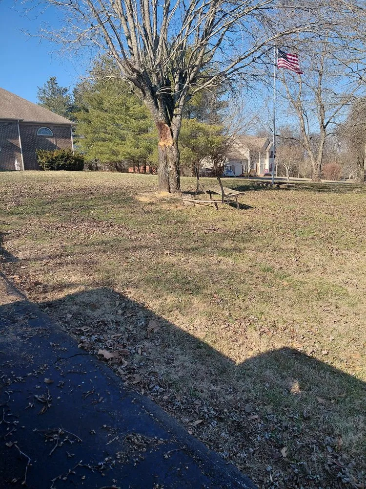 Custom lawn care service for residential properties across Farmington, TN - Thoroughbred Property Management