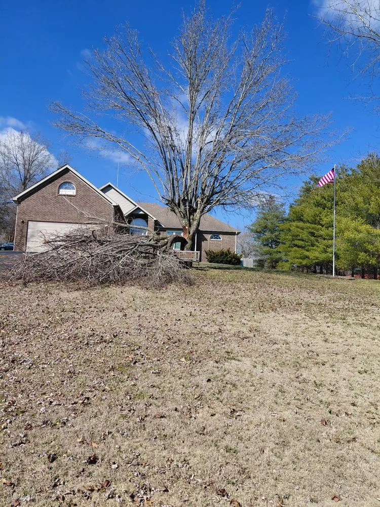 Reliable lawn care service for beautiful yards across Farmington, TN - Thoroughbred Property Management