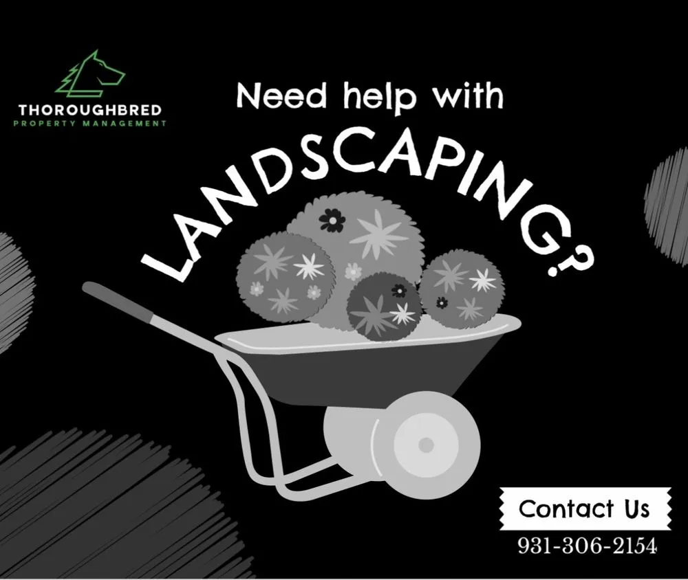 Expert yard maintenance for beautiful yards across Farmington, TN - Thoroughbred Property Management