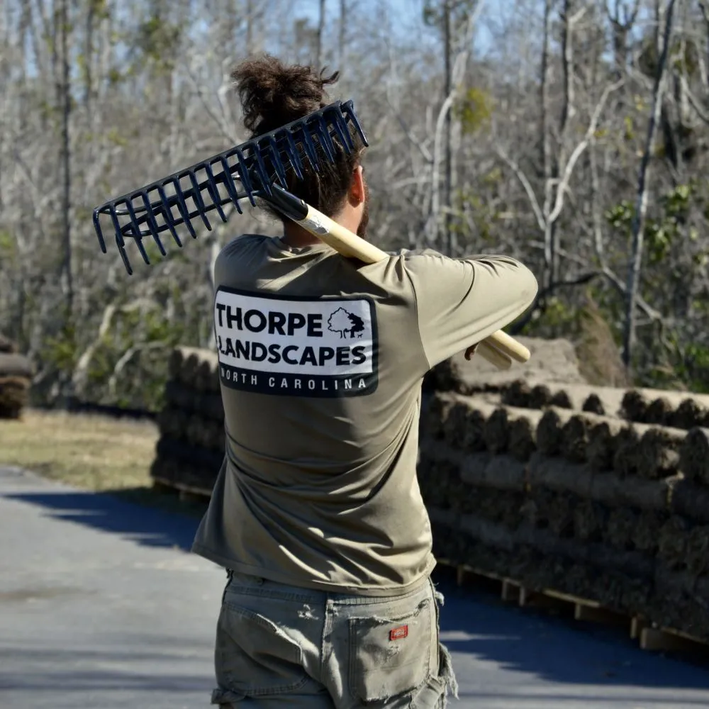 Professional yard maintenance for outdoor upgrades in Wilmington, NC by Thorpe Landscapes