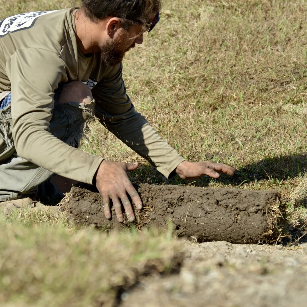 Professional landscape installation in Wilmington, NC by Thorpe Landscapes