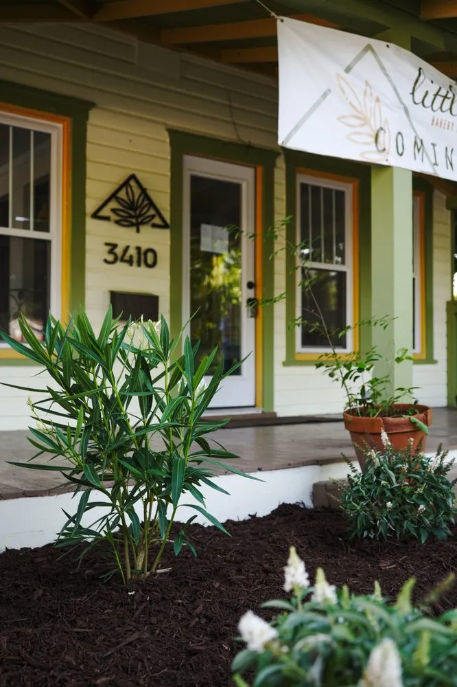 Local residential landscaping experts serving Wilmington, NC - Thorpe Landscapes