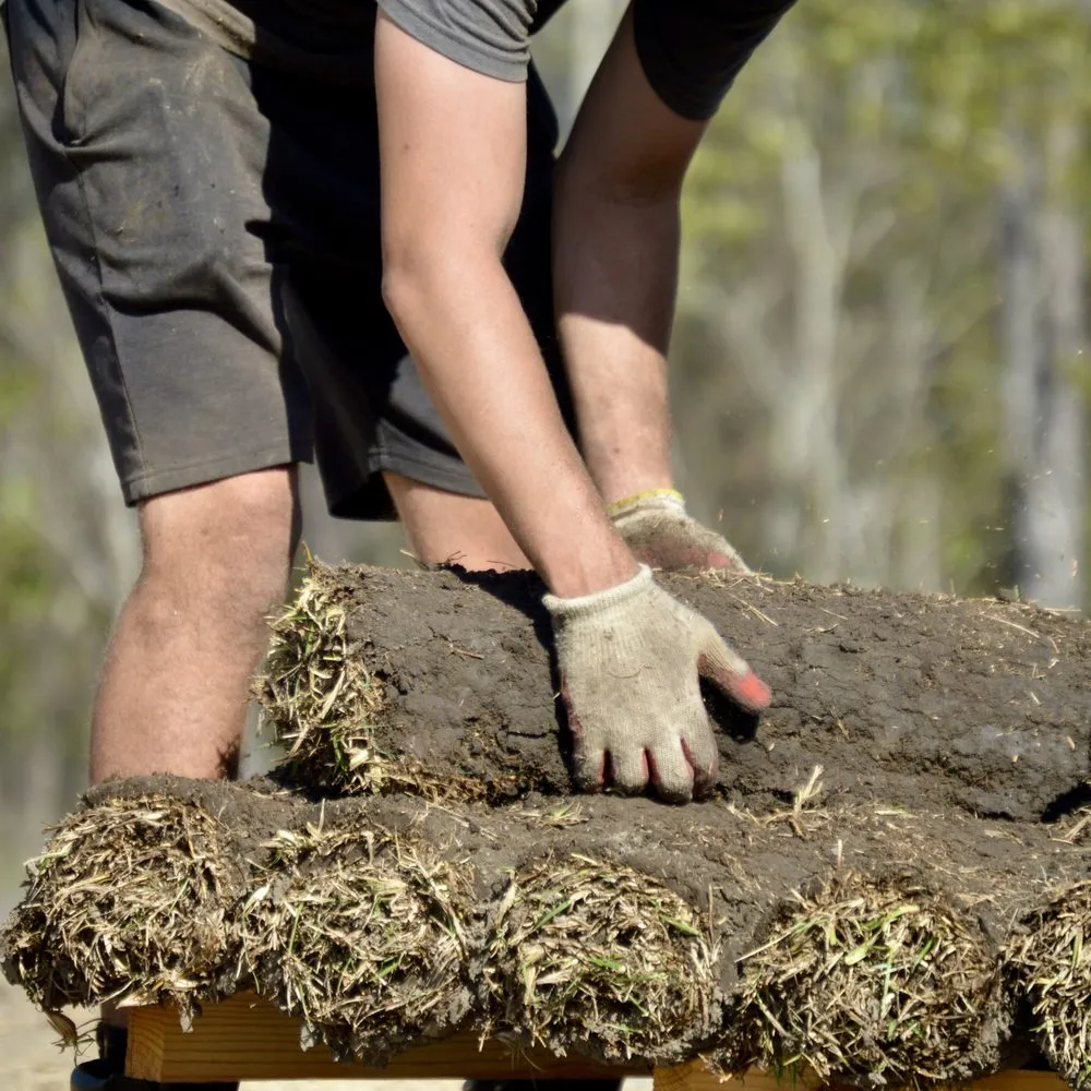 Top-rated garden landscaping in Wilmington, NC by Thorpe Landscapes