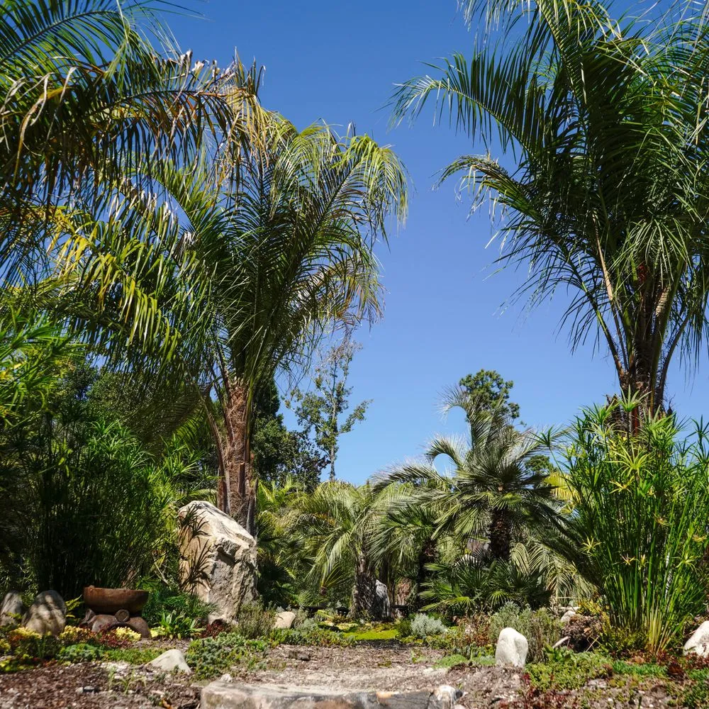 Trusted outdoor landscaping in Wilmington, NC - Thorpe Landscapes