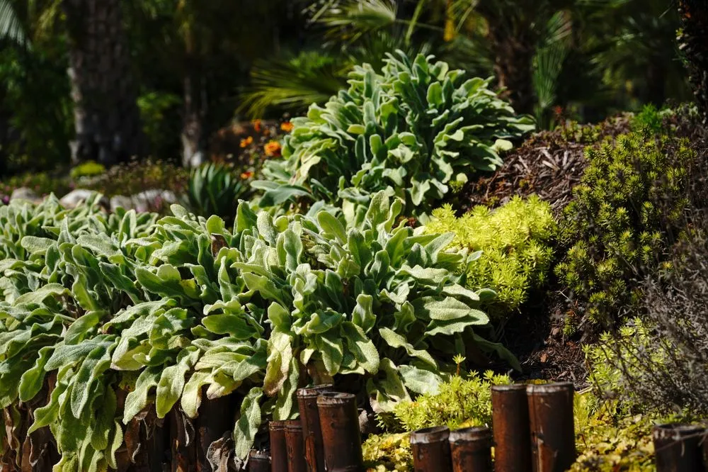 Trusted lawn care service experts serving Wilmington, NC - Thorpe Landscapes