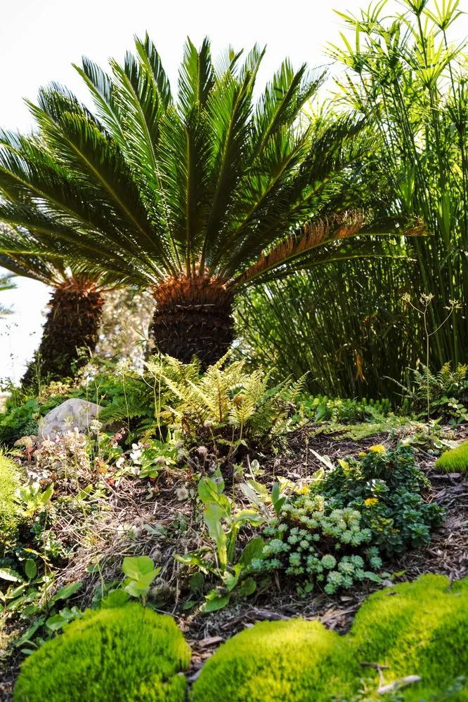 Top-rated yard maintenance experts serving Wilmington, NC - Thorpe Landscapes