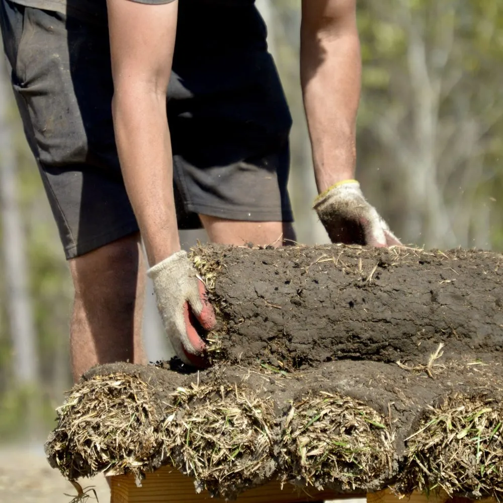 Local residential landscaping for beautiful yards in Wilmington, NC by Thorpe Landscapes