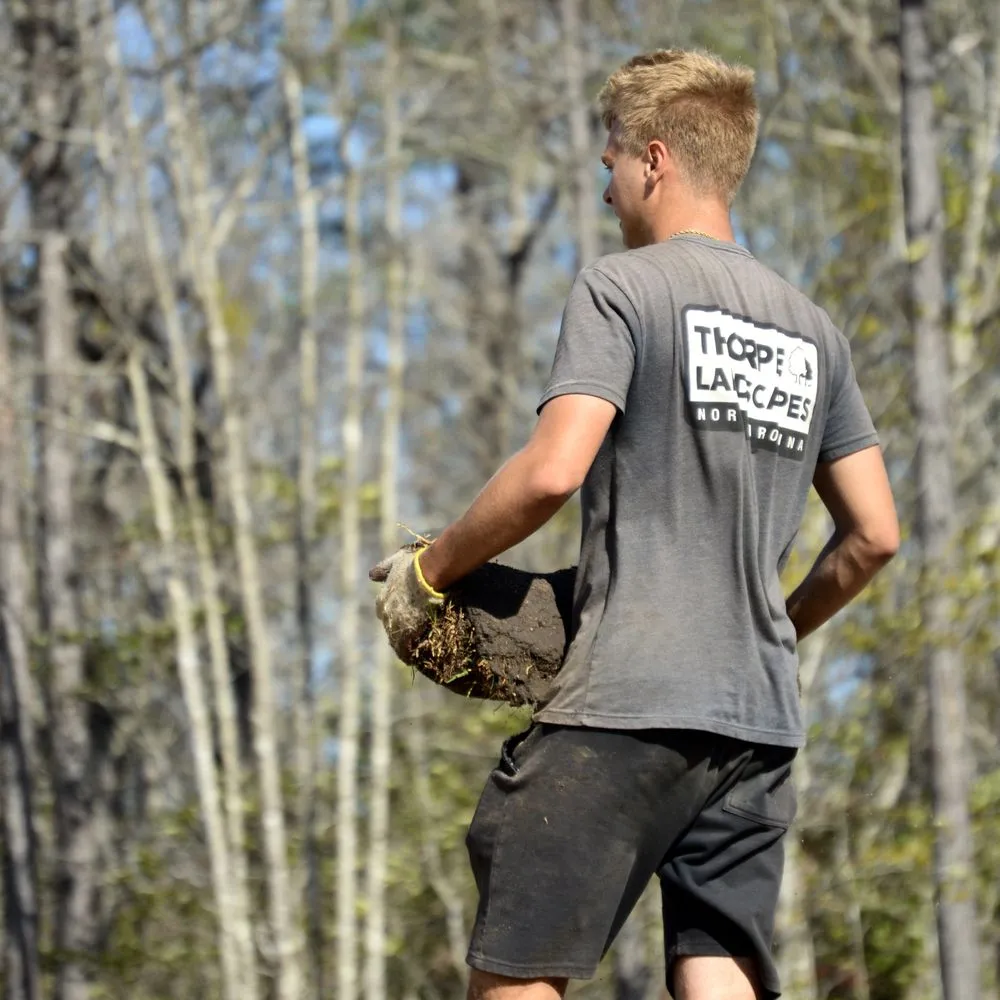 Reliable lawn care service in Wilmington, NC - Thorpe Landscapes