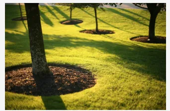 Reliable yard cleanup service in Louisville, KY by Thorpe's Green Services