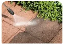 Top-rated landscaping services near you in Louisville, KY by Thorpe's Green Services