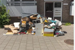 Expert landscape installation in Louisville, KY - Thorpe's Green Services