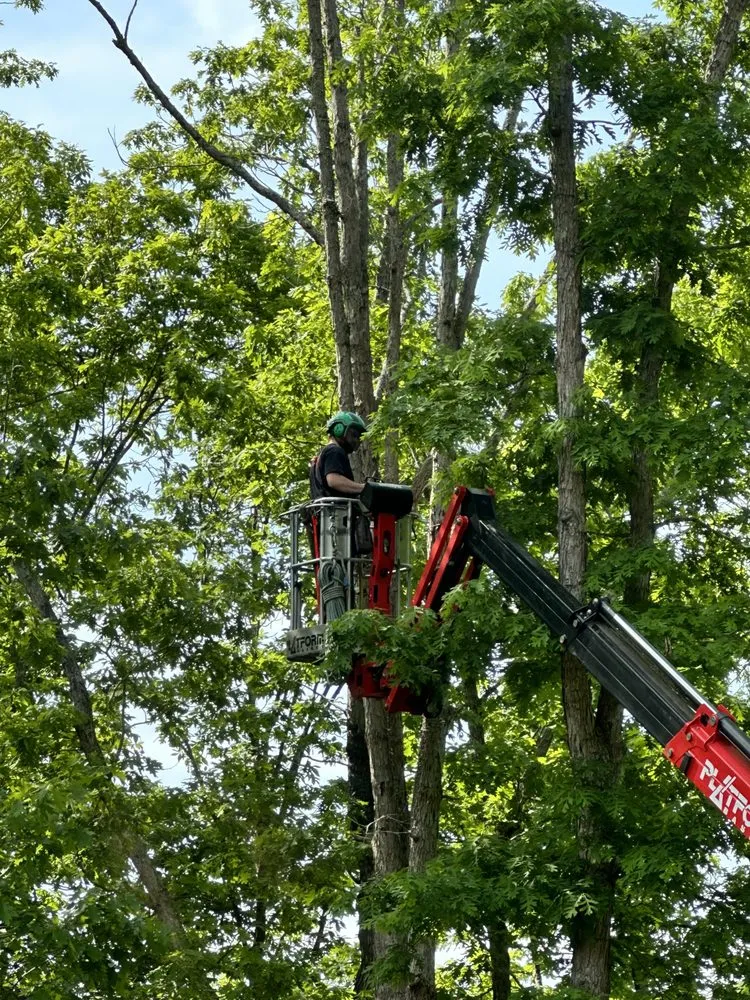 Top-rated landscape design in Gordonsville, VA by Thorpe's Tree Service & Landscaping