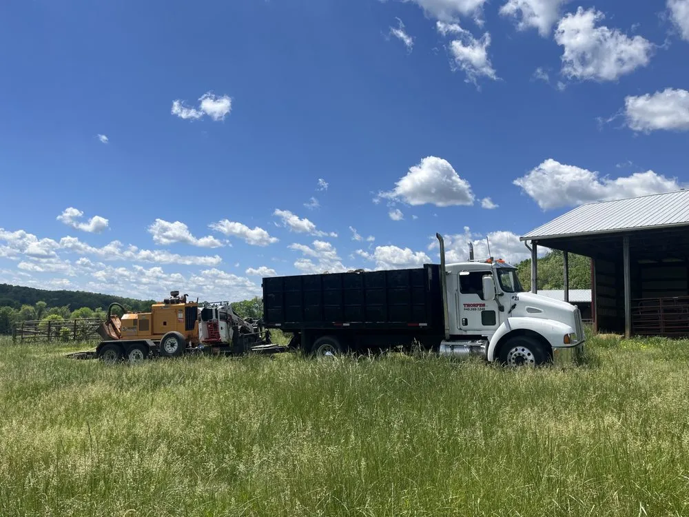 Professional landscape installation with custom design across Gordonsville, VA - Thorpe's Tree Service & Landscaping