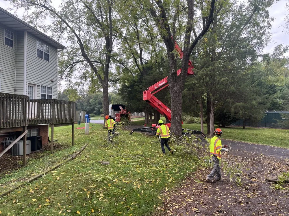 Expert lawn care service in Gordonsville, VA by Thorpe's Tree Service & Landscaping