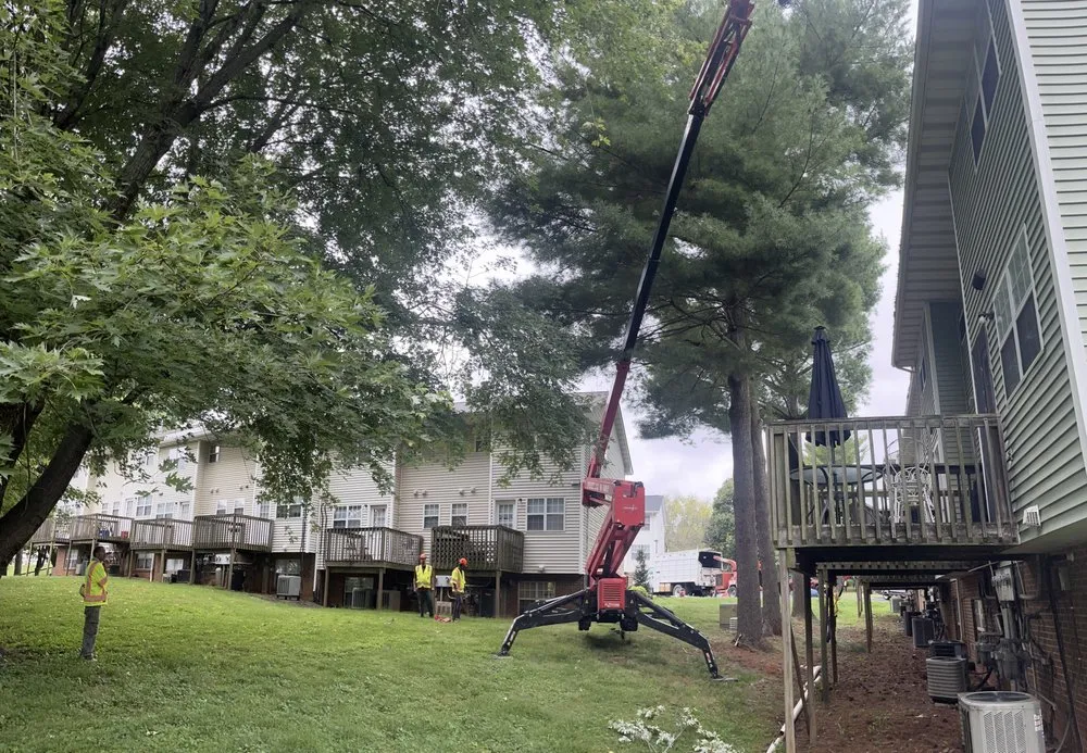 Custom garden landscaping experts serving Gordonsville, VA - Thorpe's Tree Service & Landscaping