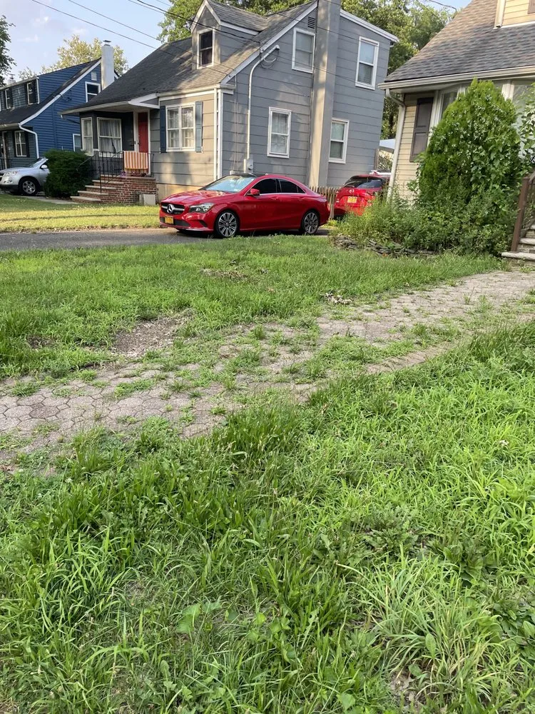 Professional yard cleanup service with custom design across Edison, NJ - Thor’s Landscaping