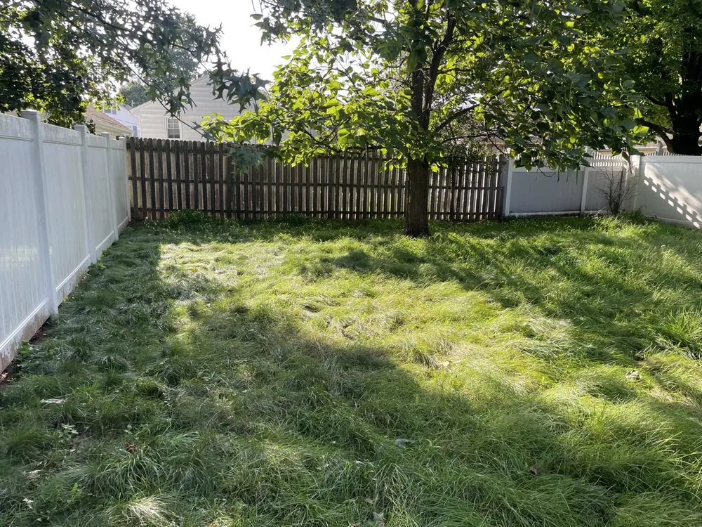 Trusted yard cleanup service for beautiful yards across Edison, NJ - Thor’s Landscaping