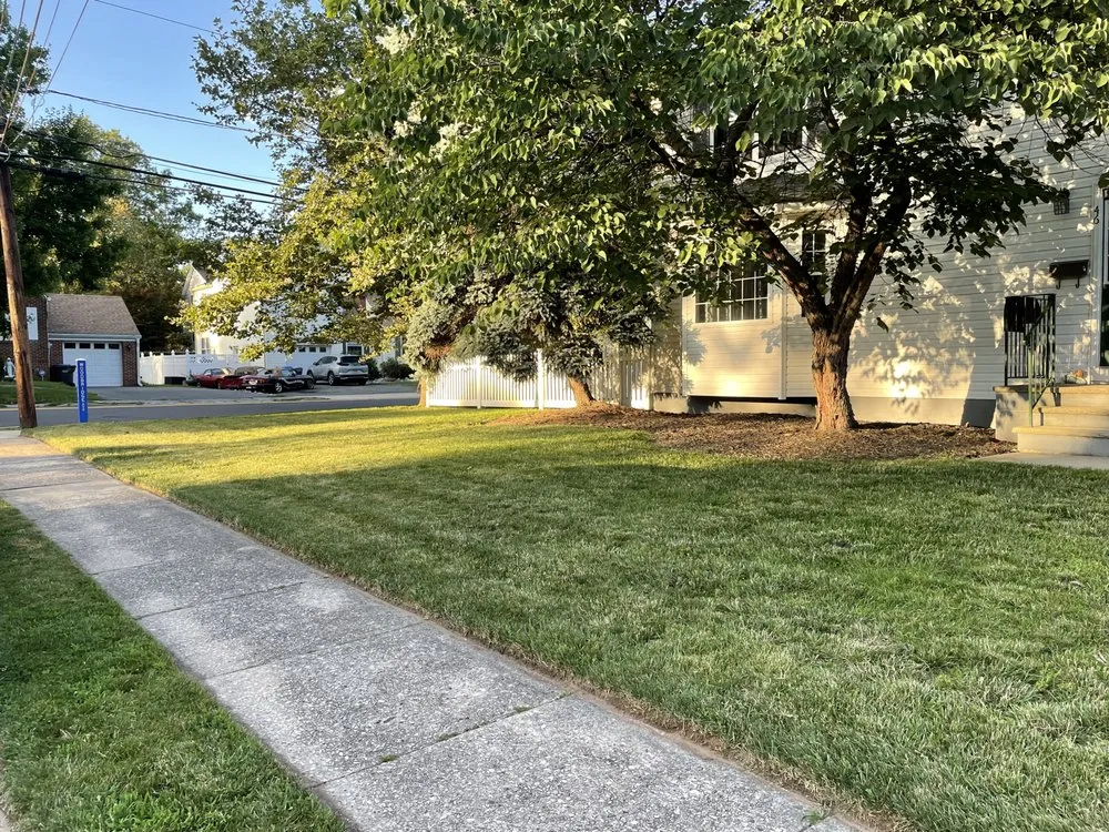 Local lawn care service experts serving Edison, NJ - Thor’s Landscaping