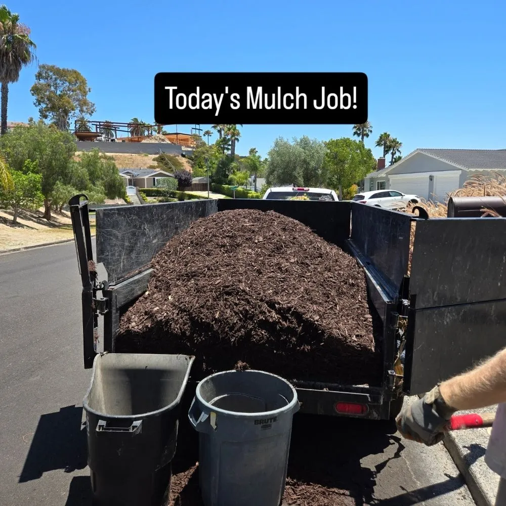 Reliable residential landscaping for year-round maintenance in San Diego, CA by Thorson's Lawn Care