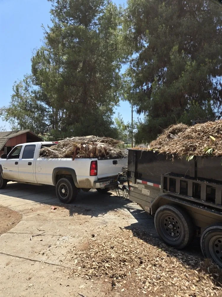 Local yard cleanup service in San Diego, CA by Thorson's Lawn Care