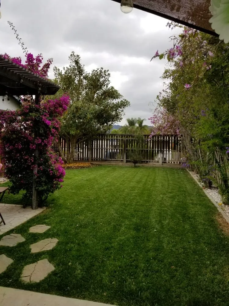 Top-rated residential landscaping with custom design in San Diego, CA by Thorson's Lawn Care