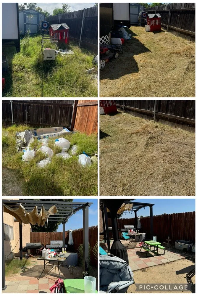 Professional yard cleanup service in San Diego, CA by Thorson's Lawn Care