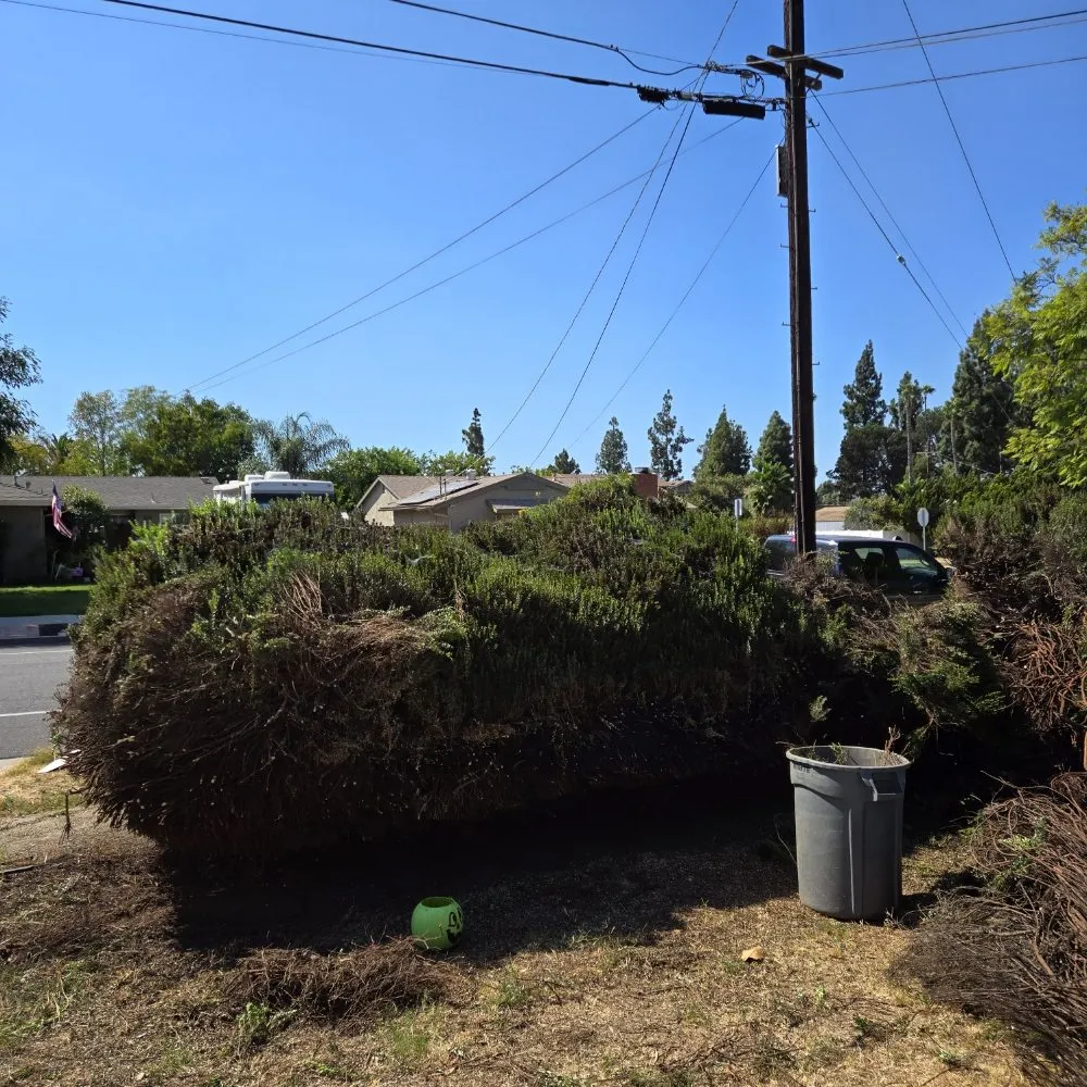 Affordable garden landscaping experts serving San Diego, CA - Thorson's Lawn Care