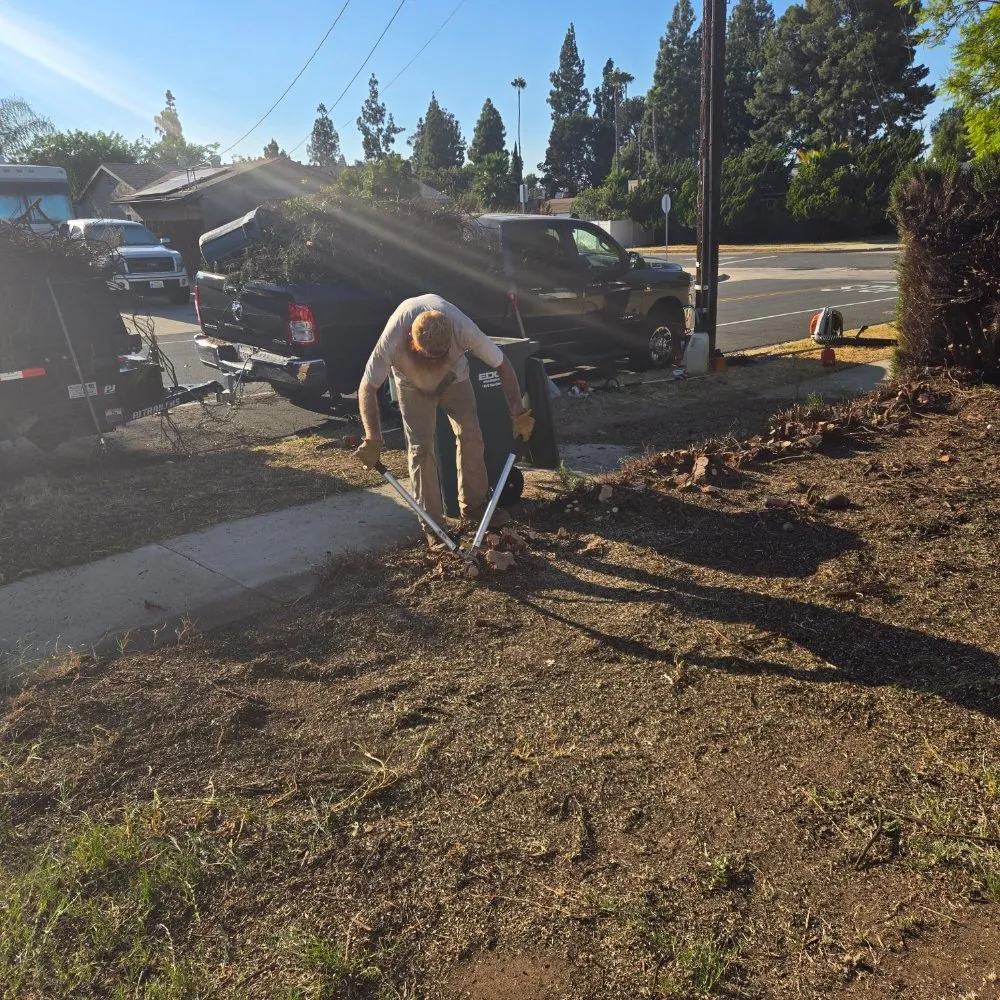 Local yard maintenance in San Diego, CA - Thorson's Lawn Care