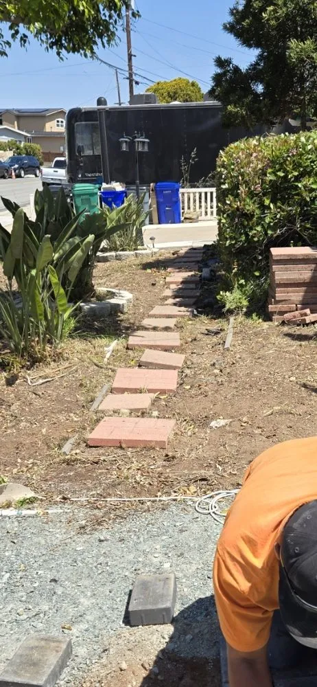 Trusted yard cleanup service experts serving San Diego, CA - Thorson's Lawn Care